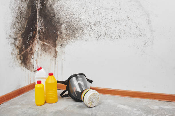 Best Residential Mold Remediation in Coffeyville, KS