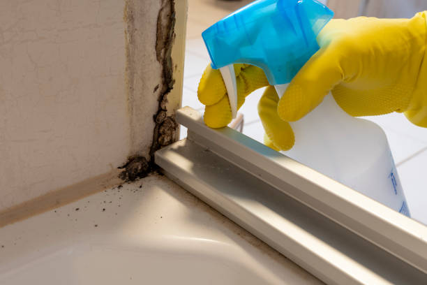 Best Residential Mold Remediation in Coffeyville, KS