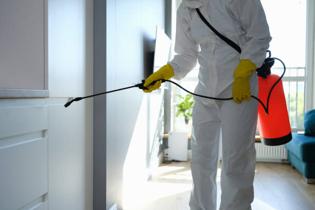 Best White Mold Remediation in Coffeyville, KS